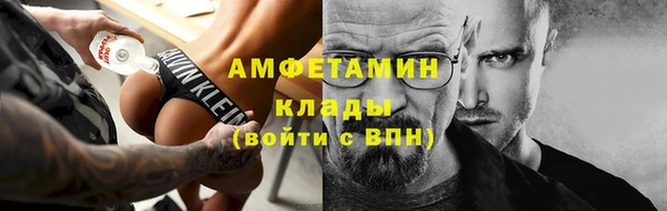 гидра Аша
